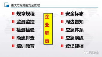 2019年新作 危險(xiǎn)化學(xué)品重大危險(xiǎn)源辨識(shí)與化學(xué)品進(jìn)出口管理指南