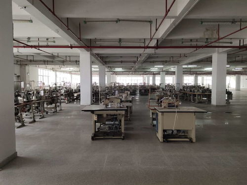 花都區(qū)學(xué)校建筑抗震安全檢測(cè)鑒定工作全面展開，權(quán)威機(jī)構(gòu)助力筑牢校園安全防線